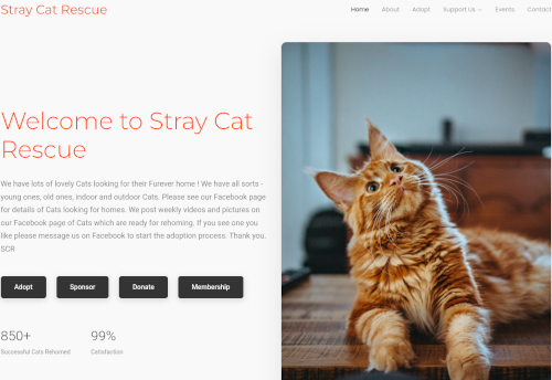 Creative Web Project